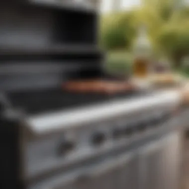 A Comprehensive Guide to 304 Stainless Steel Gas Grills Introduction