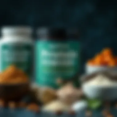 A selection of plant-based protein powders sourced from natural ingredients.