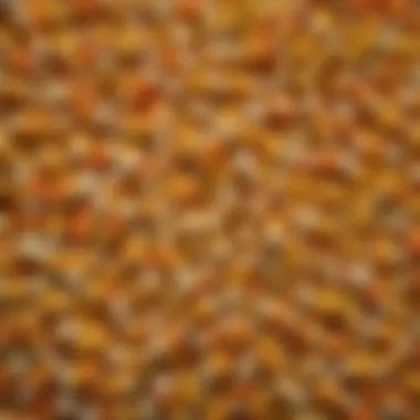 Nutritional Insights into Candy Sweet Corn Nutritional breakdown of candy sweet corn