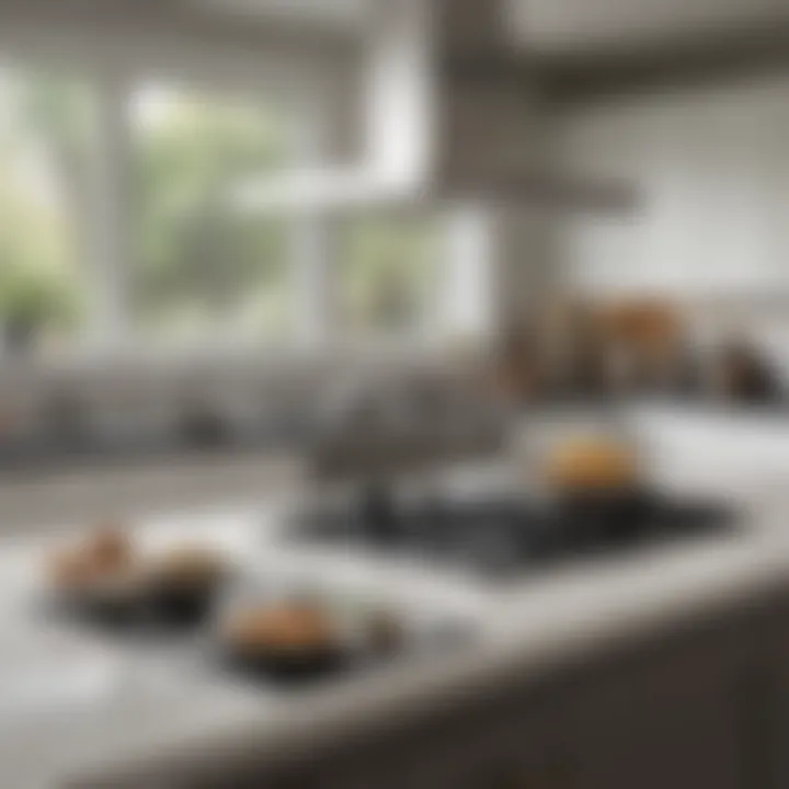 An organized kitchen showcasing clean appliances and drip pans