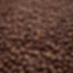 A close-up of assorted coffee beans showcasing their unique textures and colors.