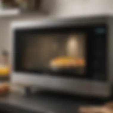 Overview of Key Features in Panasonic Microwaves Features overview of key Panasonic microwave models