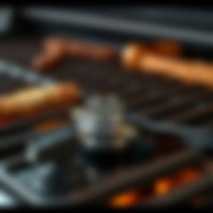 Ignition System of Propane Grill A close-up of the ignition system on a propane BBQ grill