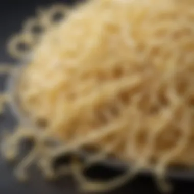 Close-up of the angel hair pasta attachment highlighting its intricate design and functionality