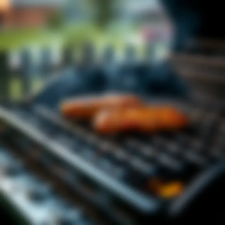 Expert Tips for Grill Maintenance Expert tips on maintaining barbeque grills with solutions