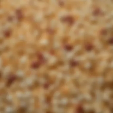 Diverse Flavors and Toppings for Popcorn Variety of popcorn flavors and toppings ready to enhance the popcorn experience.