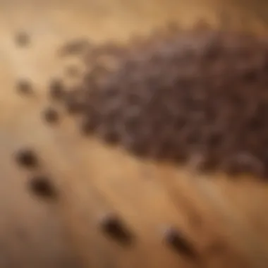 Aroma of Quality: Selecting the Best Beans Elegant coffee beans scattered on a rustic wooden surface