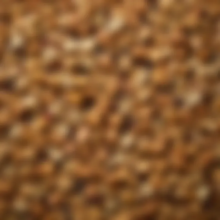 A close-up of various cracker textures and colors