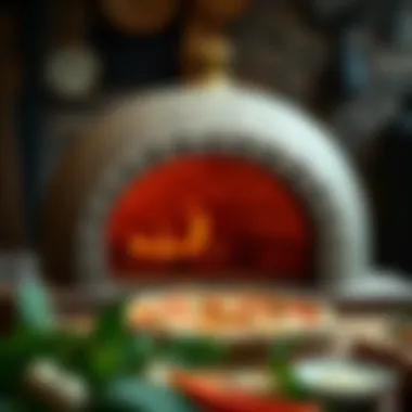 Different types of pizza ovens showcased