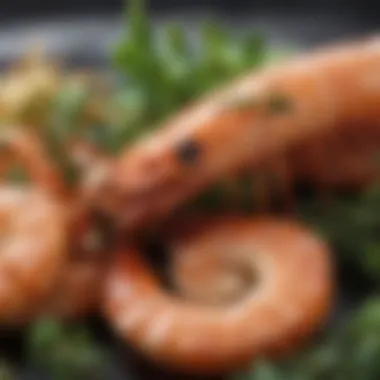 Succulent Shrimp with Herbs and Spices A close-up of succulent shrimp with herbs and spices