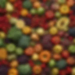 Vibrant fresh fruits and vegetables showcasing the Dirty Dozen and Clean Fifteen categories