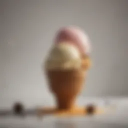 Rich texture of gelato contrasted with ice cream