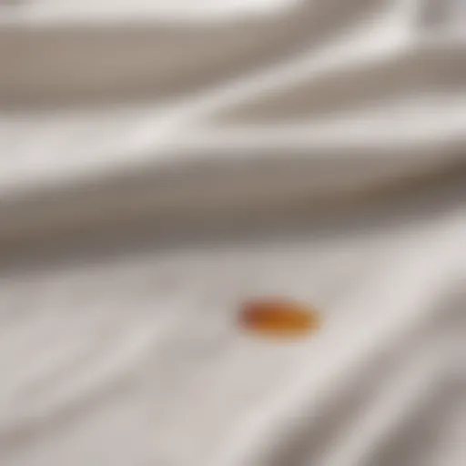 Close-up of a white fabric with a visible stain