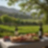 Breathtaking Napa Valley landscape with lush vineyards