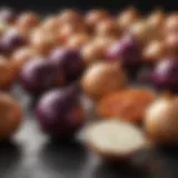 A variety of short day onions showcasing their unique colors and shapes