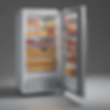 Energy Efficiency in Small Freezers Energy-efficient small chest freezer showcasing energy rating