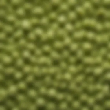 Close-up of mushy peas with a textured surface