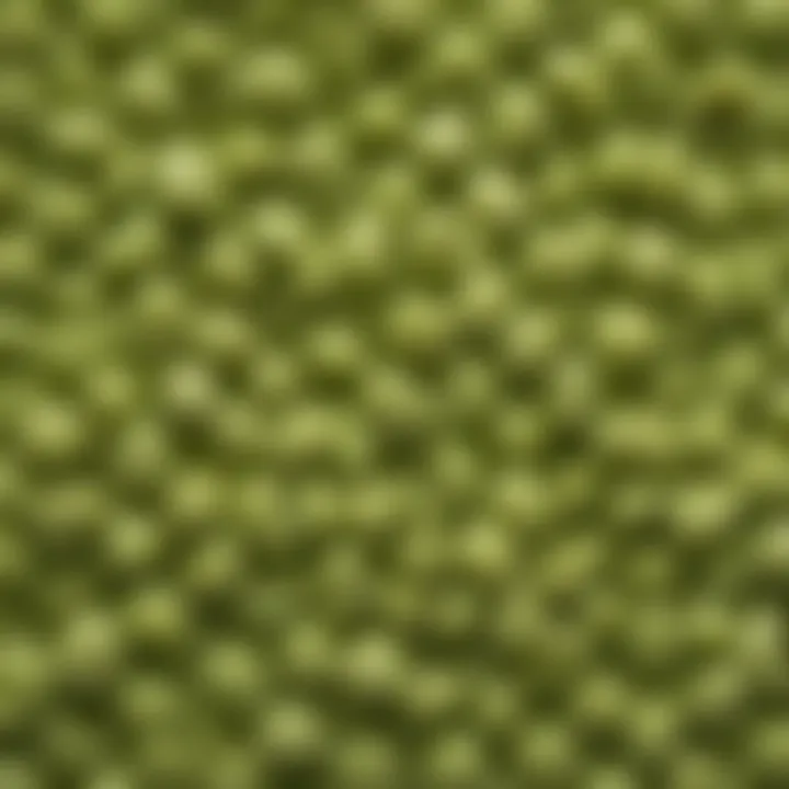 Close-up of mushy peas with a textured surface