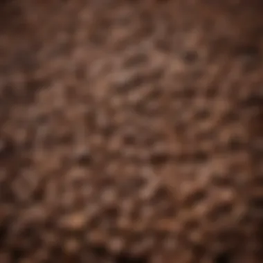 Diverse Coffee Bean Selection A diverse selection of coffee beans arranged artistically
