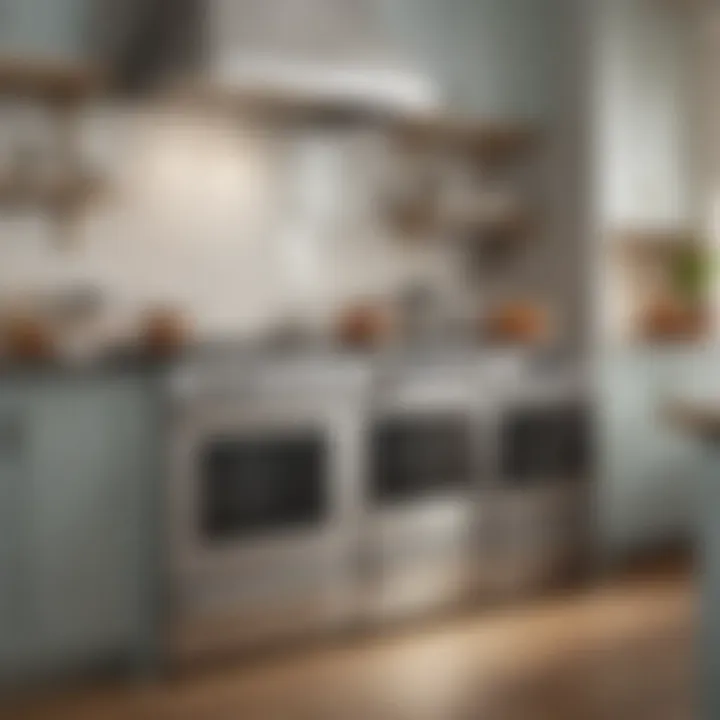 Close-up of unique design features in Drew Barrymore's appliances