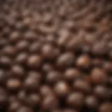 A close-up view of espresso roast whole beans showcasing their rich color and texture
