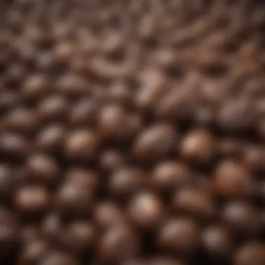 A close-up view of espresso roast whole beans showcasing their rich color and texture