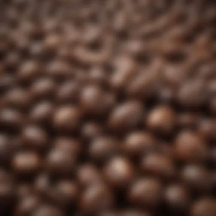 A close-up view of espresso roast whole beans showcasing their rich color and texture