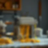 Elegant pasta machine with fresh dough