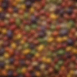 An array of legumes, showcasing their diverse shapes and colors, which are high in lectins.