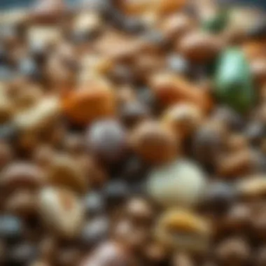 Collection of raw nuts and seeds