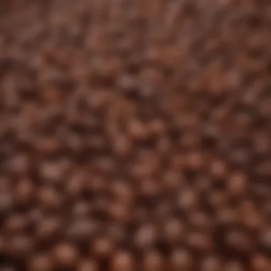 A close-up view of cocoa beans showcasing their rich textures and colors