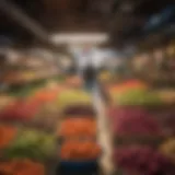Vibrant local market showcasing seasonal produce