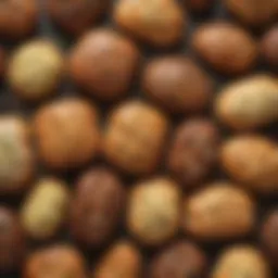 A variety of keto bread options displayed on a wooden table