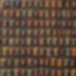 Variety of keto-friendly snacks displayed