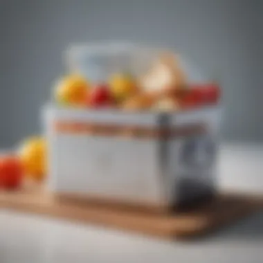 Aesthetic Design of a Cooler Pack Lunch Box Stylish lunch box with cooler pack