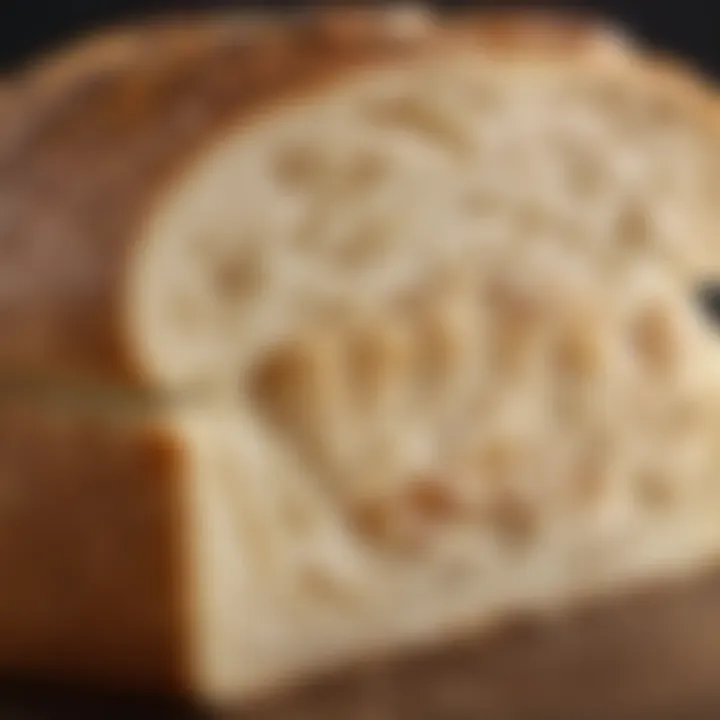 A close-up of a slice of modern artisan bread showcasing its texture and crumb structure.