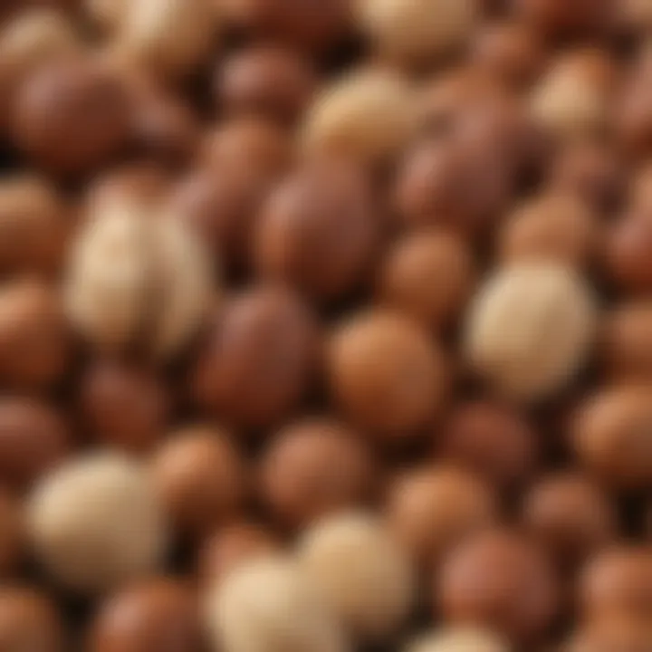Close-up of soft nuts showcasing their unique textures.