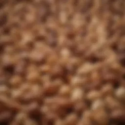 A variety of soft nuts displayed in an elegant arrangement.