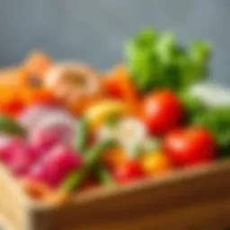 Aesthetic arrangement of colorful bento box ingredients