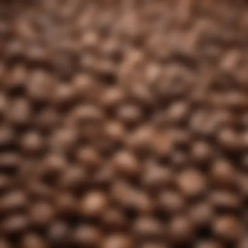 A close-up view of freshly roasted decaf coffee beans showcasing their rich color and texture