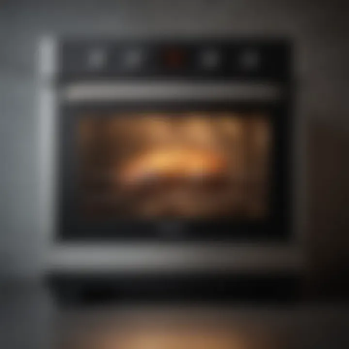 High-performance oven with innovative features