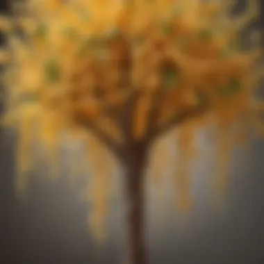 Aesthetic Food Design with Pasta A close-up of a pasta tree structure with decorative elements, illustrating the aesthetic appeal of food design.