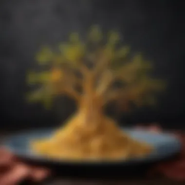 Culinary Presentation of Pasta A beautifully arranged plate featuring pasta shaped like branches, emphasizing the fusion of culinary skill and creativity.