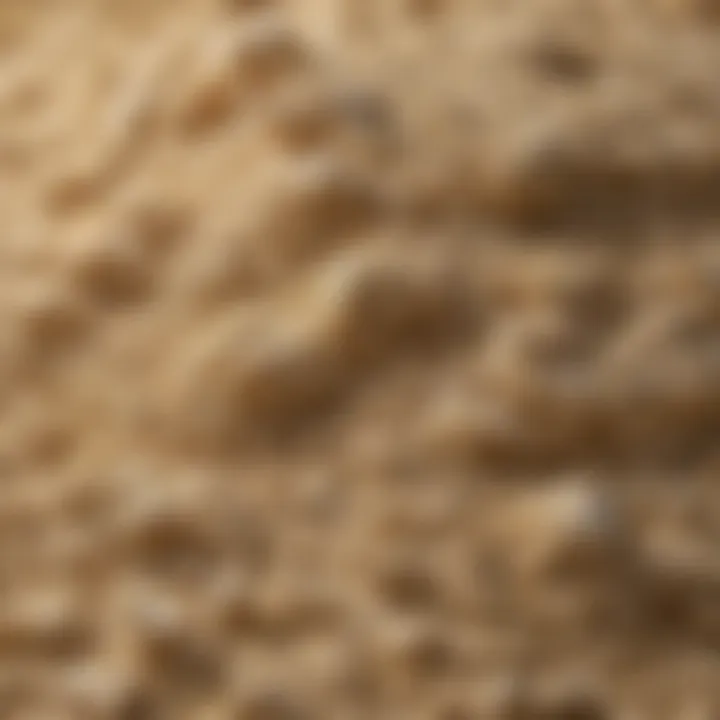 A close-up view of gluten flour showing its texture and grain.