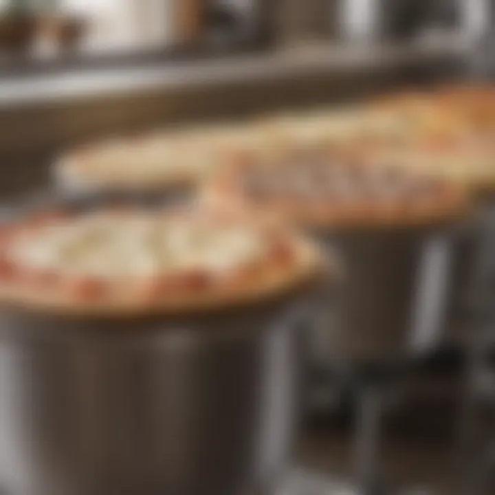 A variety of pizza dough mixers lined up, illustrating diversity.