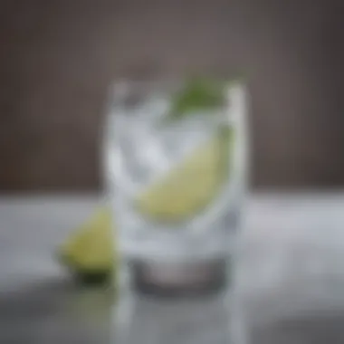 Beautifully Crafted Gin and Tonic A beautifully crafted gin and tonic served in an elegant glass with ice.