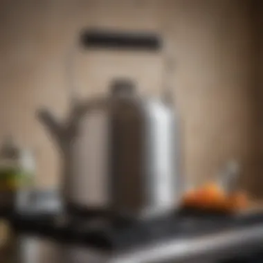 Elegant stainless steel kettle on a stove