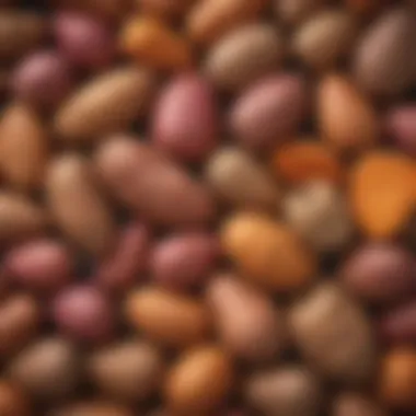 Varieties of sweet potatoes displayed