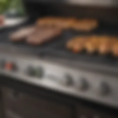 Close-up of the control knobs and features of a propane grill.