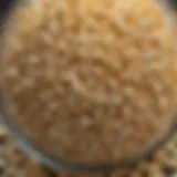 Close-up of a glass popcorn jar filled with kernels